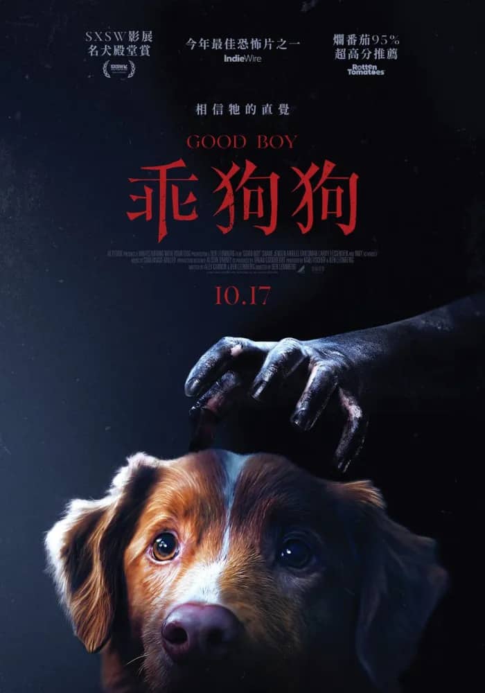 乖狗狗 