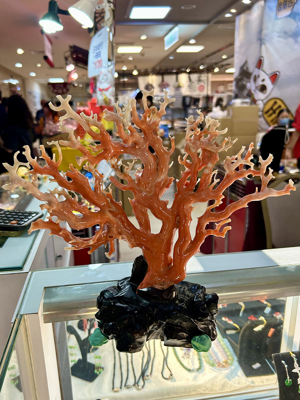 這是一張圖